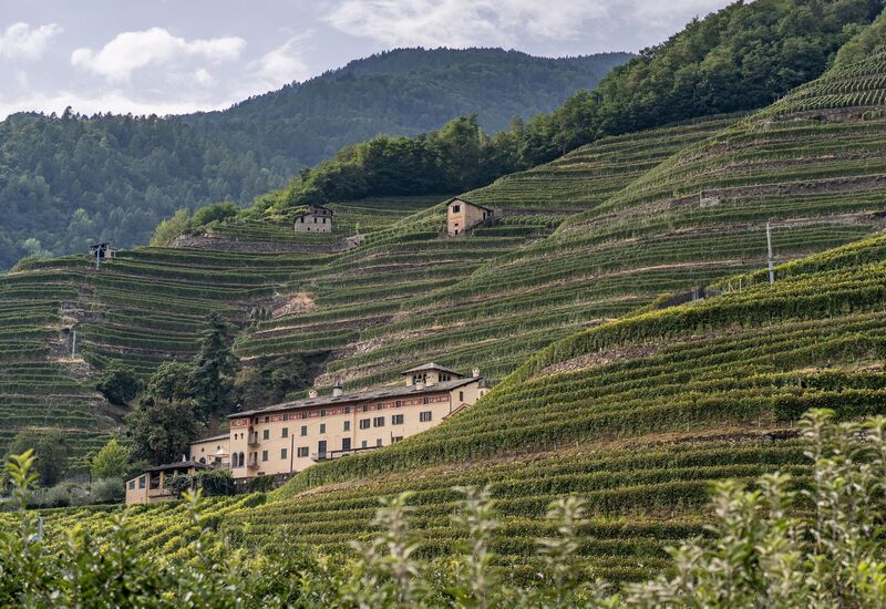 Valtellina wine trail