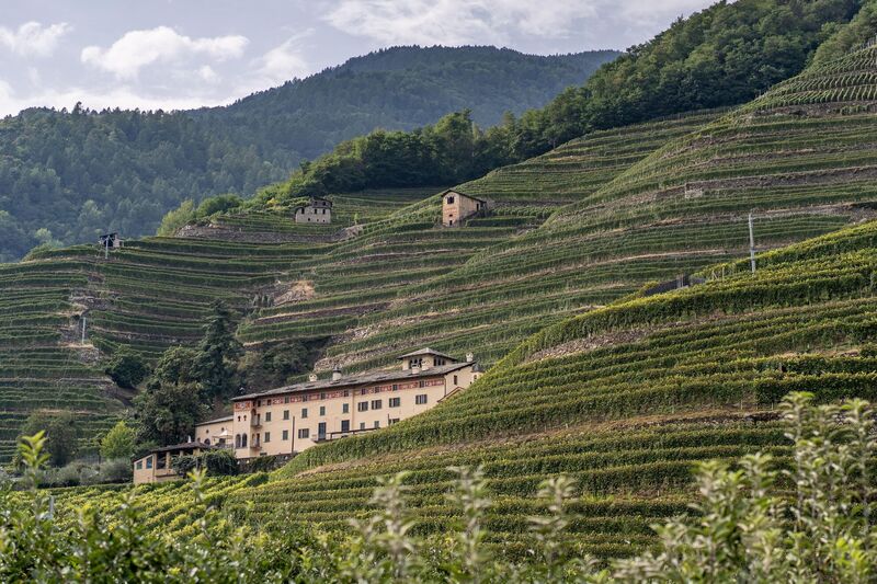 Die Weinstraße von Valtellina